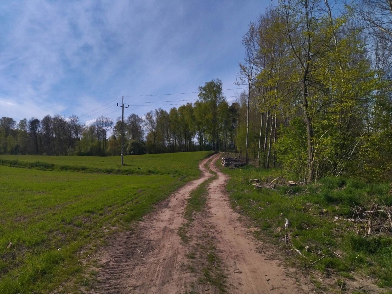 Działka budowlana Wielimowo. Zdjęcie 6