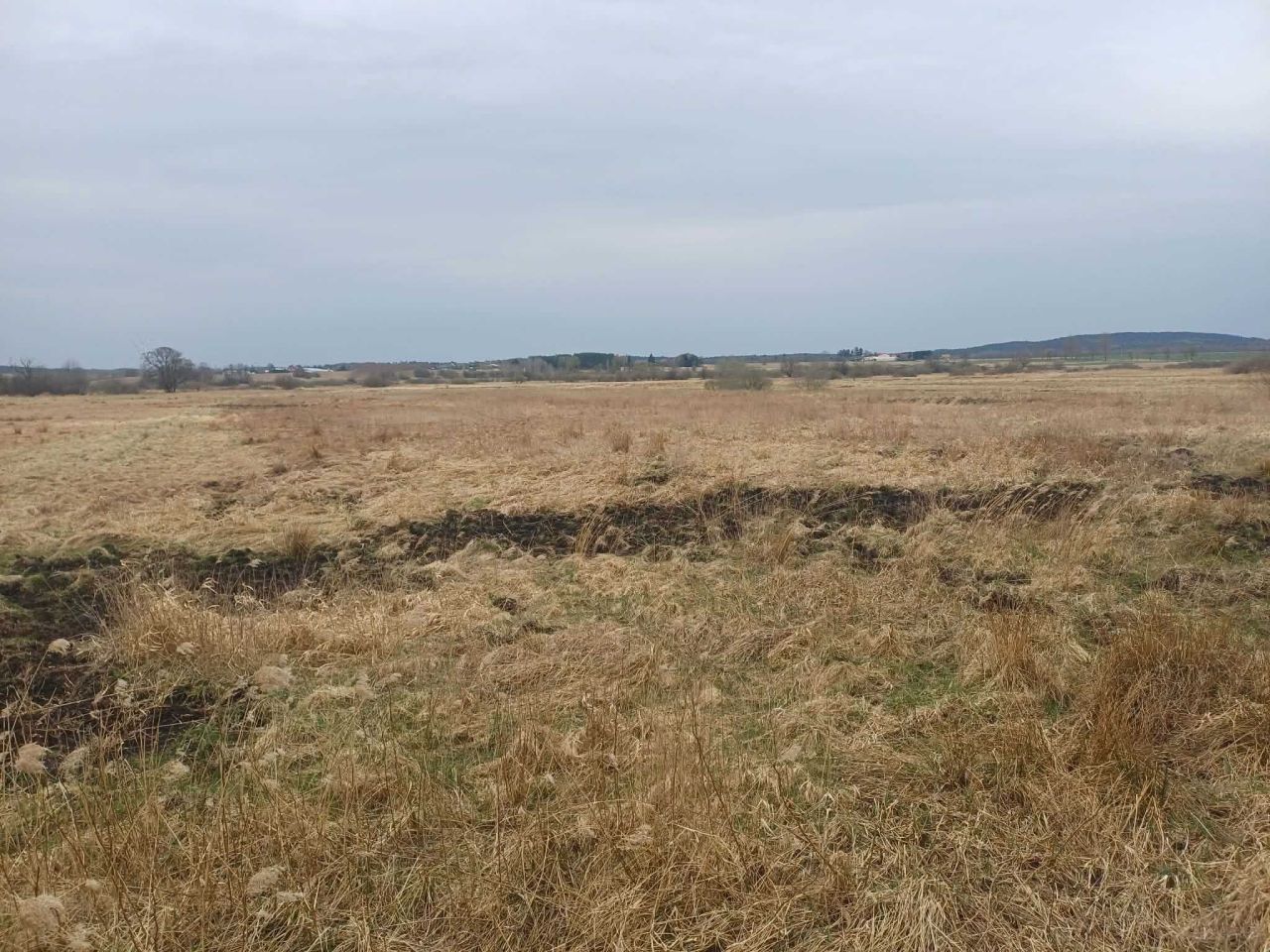 Działka rolna Malechowo. Zdjęcie 6