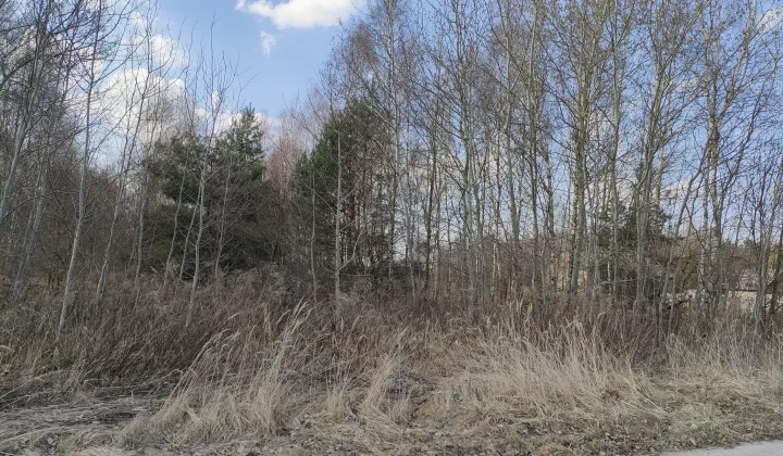 Działka rolno-budowlana Pacierzów, ul. Polna