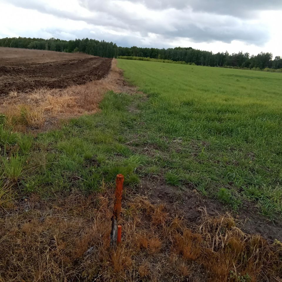 Działka rolna Helenów. Zdjęcie 2