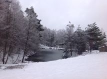 Działka rolno-budowlana Skopów. Zdjęcie 4