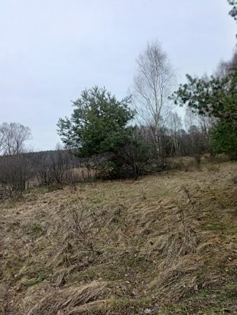 Działka rolna Górki Grabińskie. Zdjęcie 2