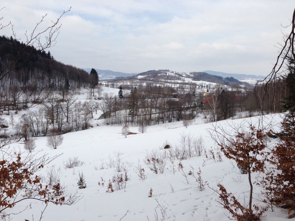 Działka rolna Błażkowa. Zdjęcie 4