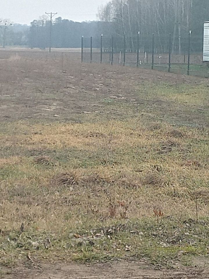 Działka rekreacyjna Nowe Miasto. Zdjęcie 7