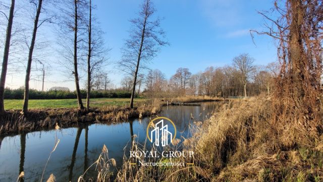 Działka siedliskowa Samoklęski. Zdjęcie 8