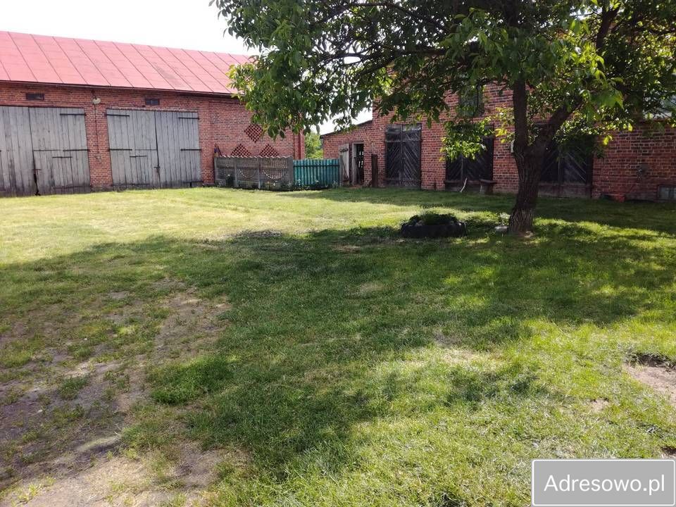 gospodarstwo, 4 pokoje Grójec Wielki. Zdjęcie 4