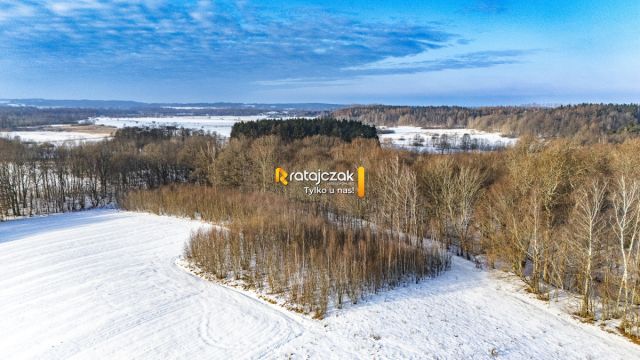 Działka rolna Mierzyno. Zdjęcie 10