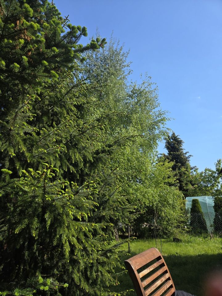 Działka rod Gdańsk Brętowo. Zdjęcie 6