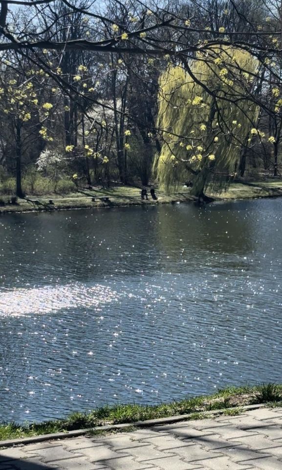 Pokój Warszawa Praga-Południe, ul. Grochowska. Zdjęcie 11