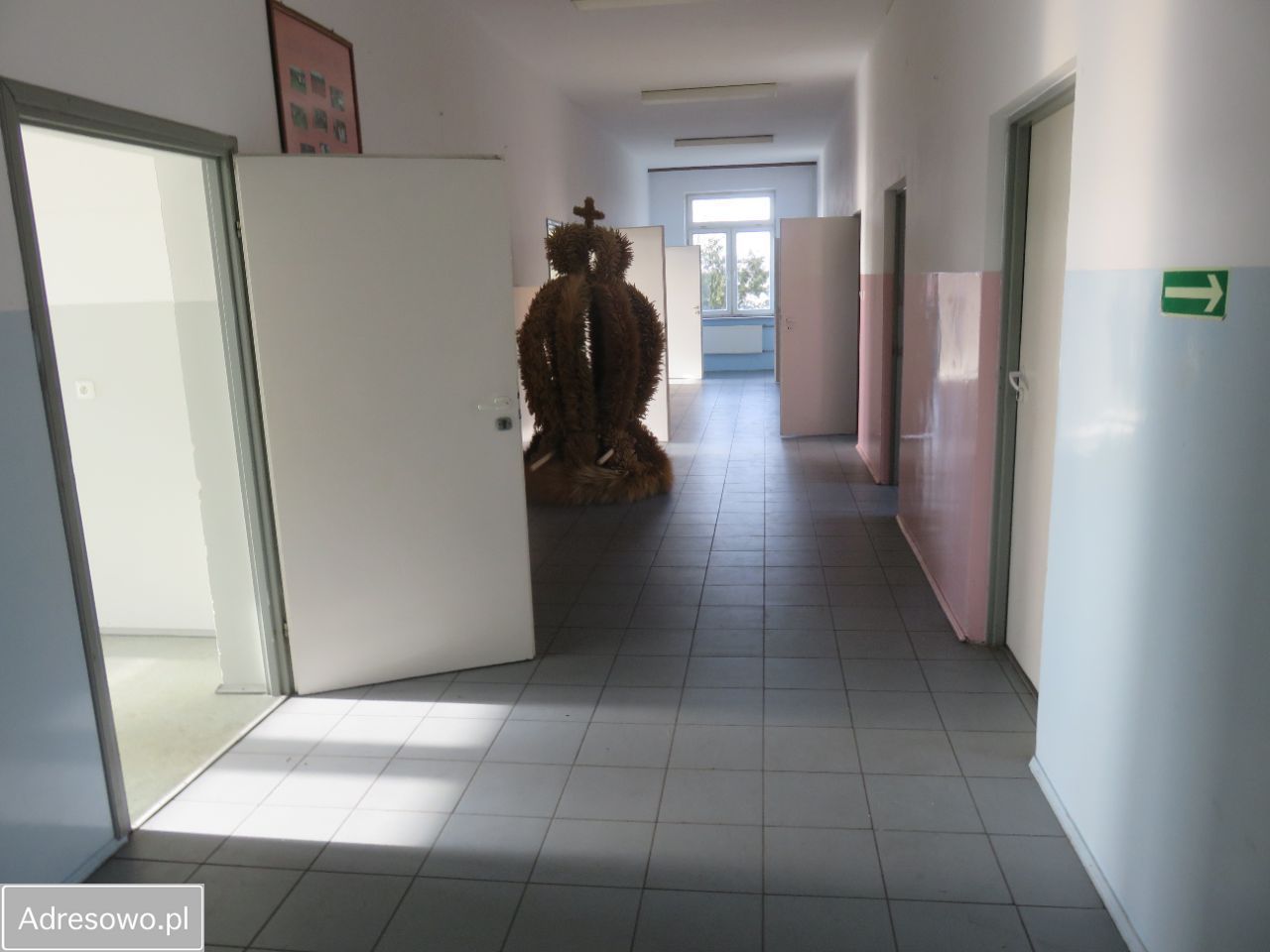 Lokal Paprotnia. Zdjęcie 7