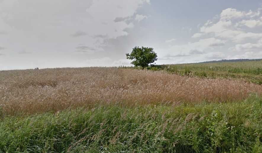 Działka rolno-budowlana Nowy Skoszyn. Zdjęcie 3