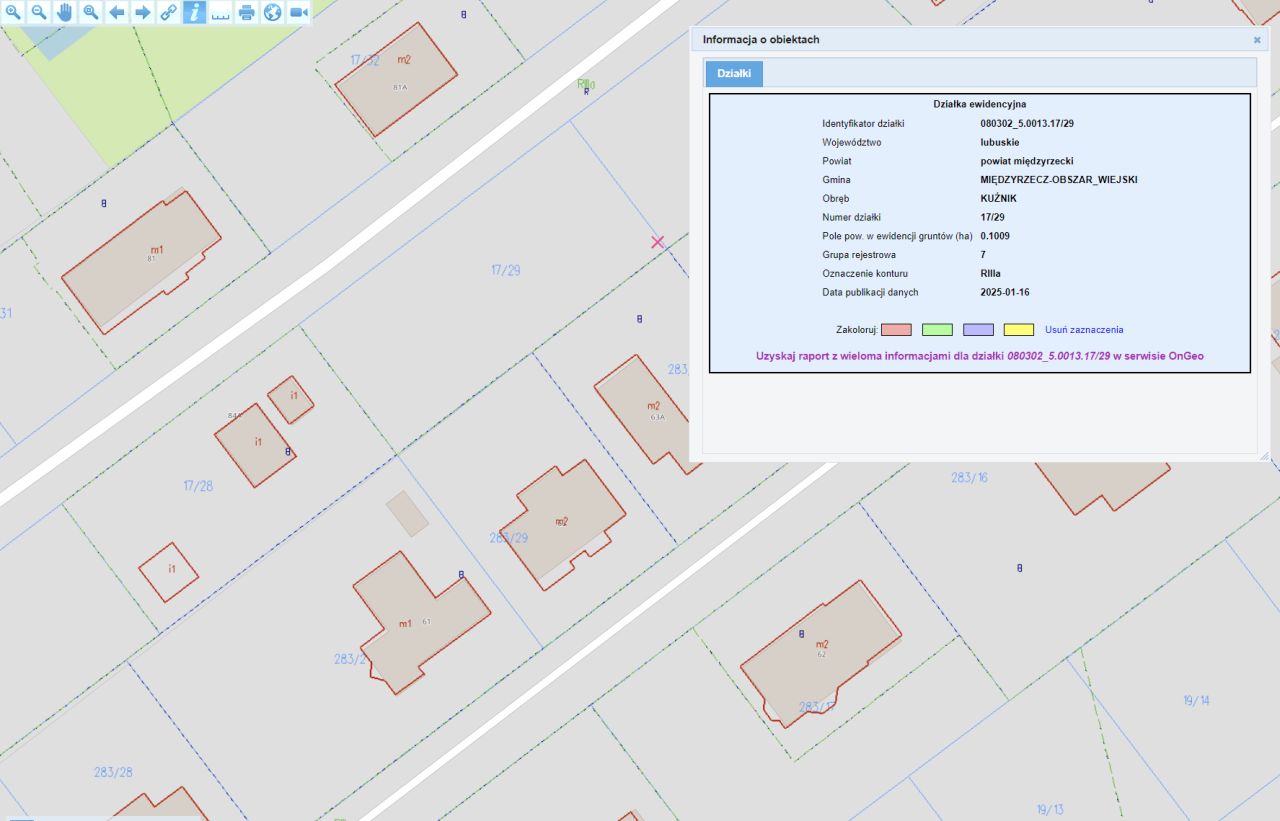 Działka budowlana Kuźnik Międzyrzecz-Wybudowanie. Zdjęcie 3