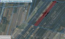 Działka leśna Zaborowie. Zdjęcie 2