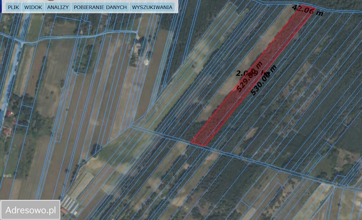 Działka leśna Zaborowie. Zdjęcie 3