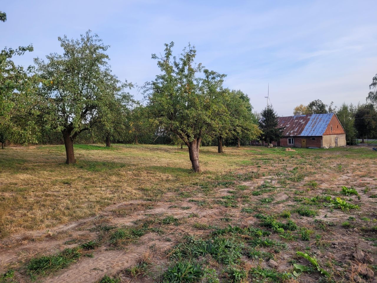 Działka budowlana Brzyskorzystew. Zdjęcie 4