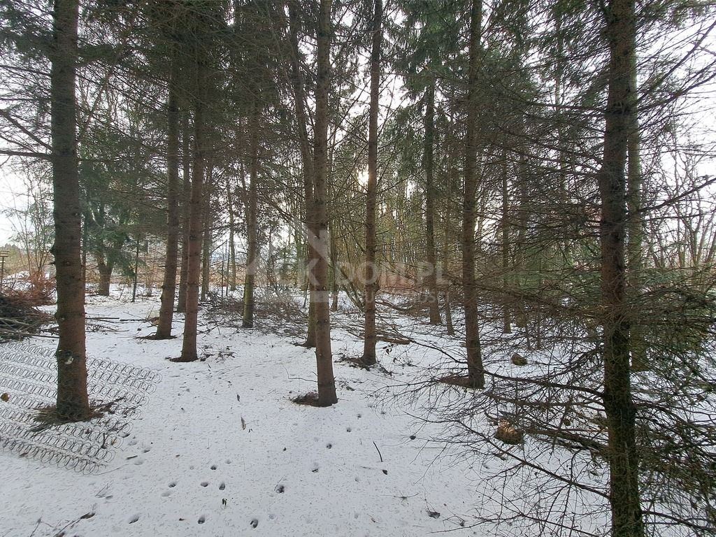 dom wolnostojący, 5 pokoi Jaworznia. Zdjęcie 10