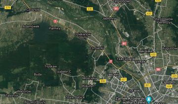 Działka leśna Dąbrowa. Zdjęcie 1
