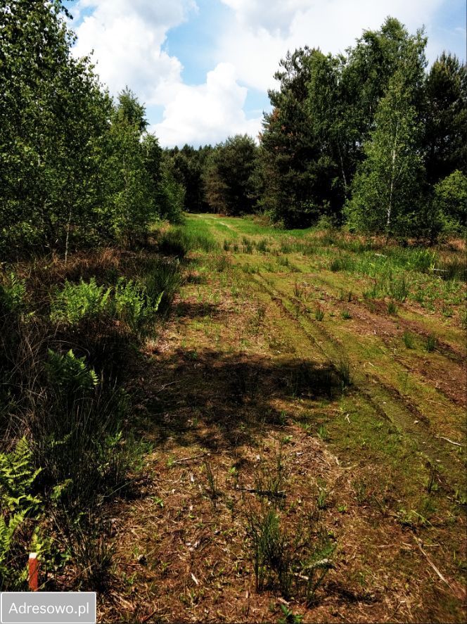Działka budowlana Osęczyzna. Zdjęcie 6