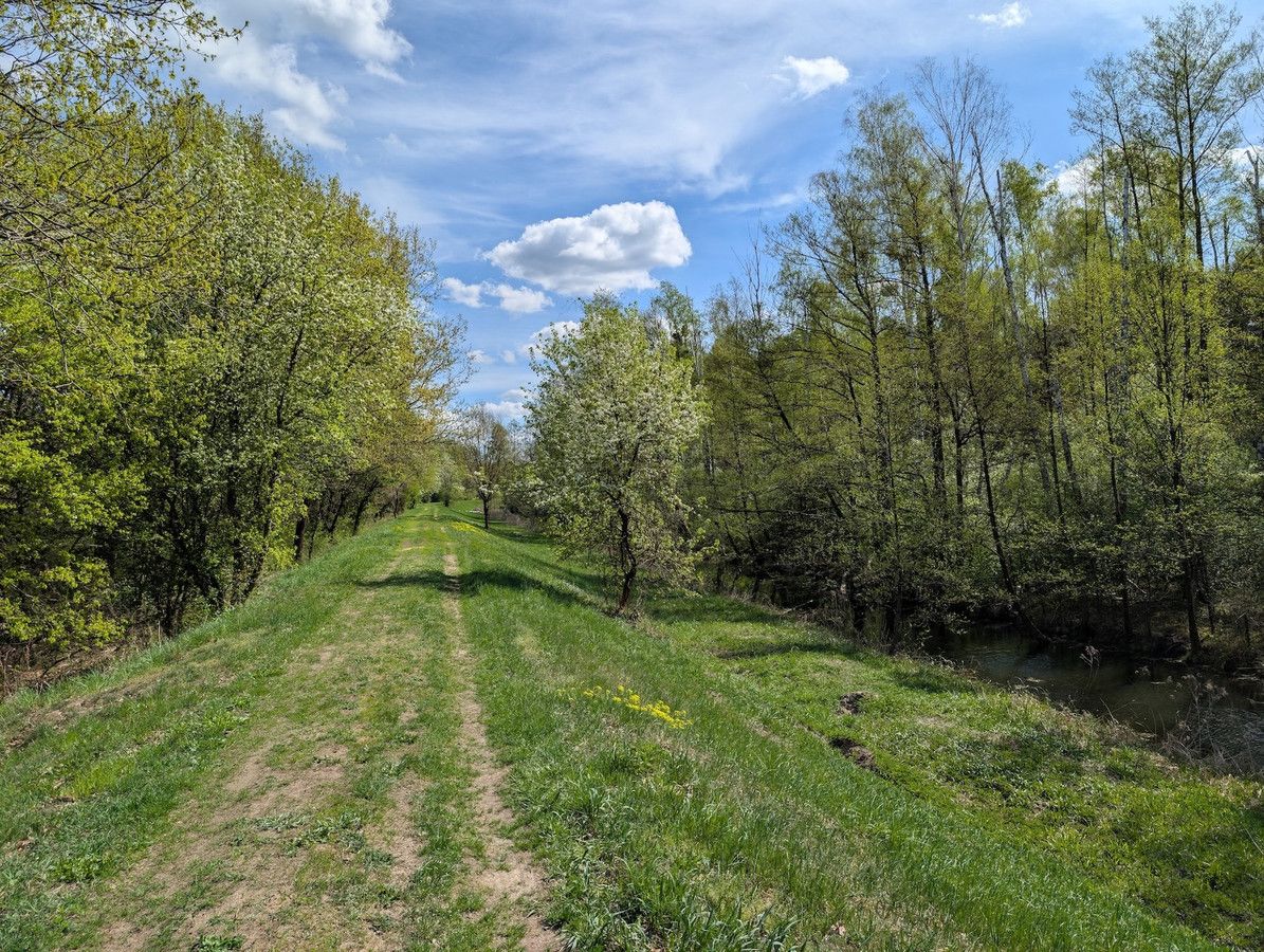 Działka budowlana Śladów. Zdjęcie 10
