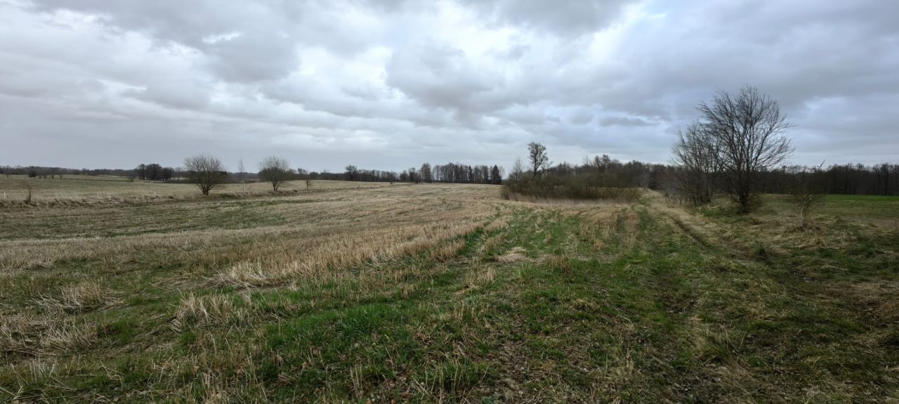 Działka rolna Karszewo. Zdjęcie 7