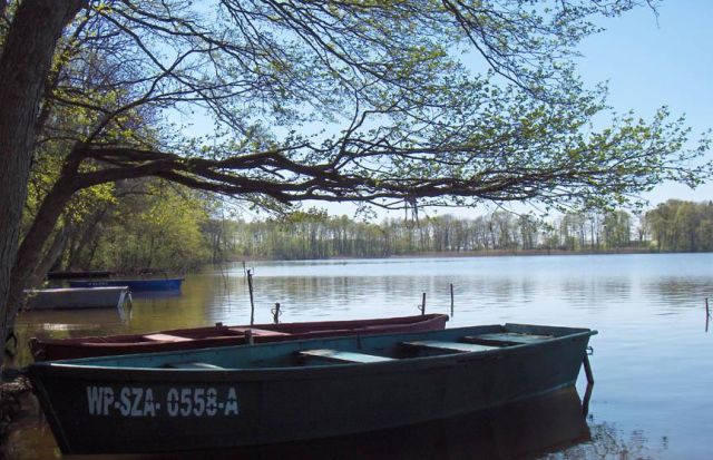 Działka rolna Chrzypsko Małe. Zdjęcie 8