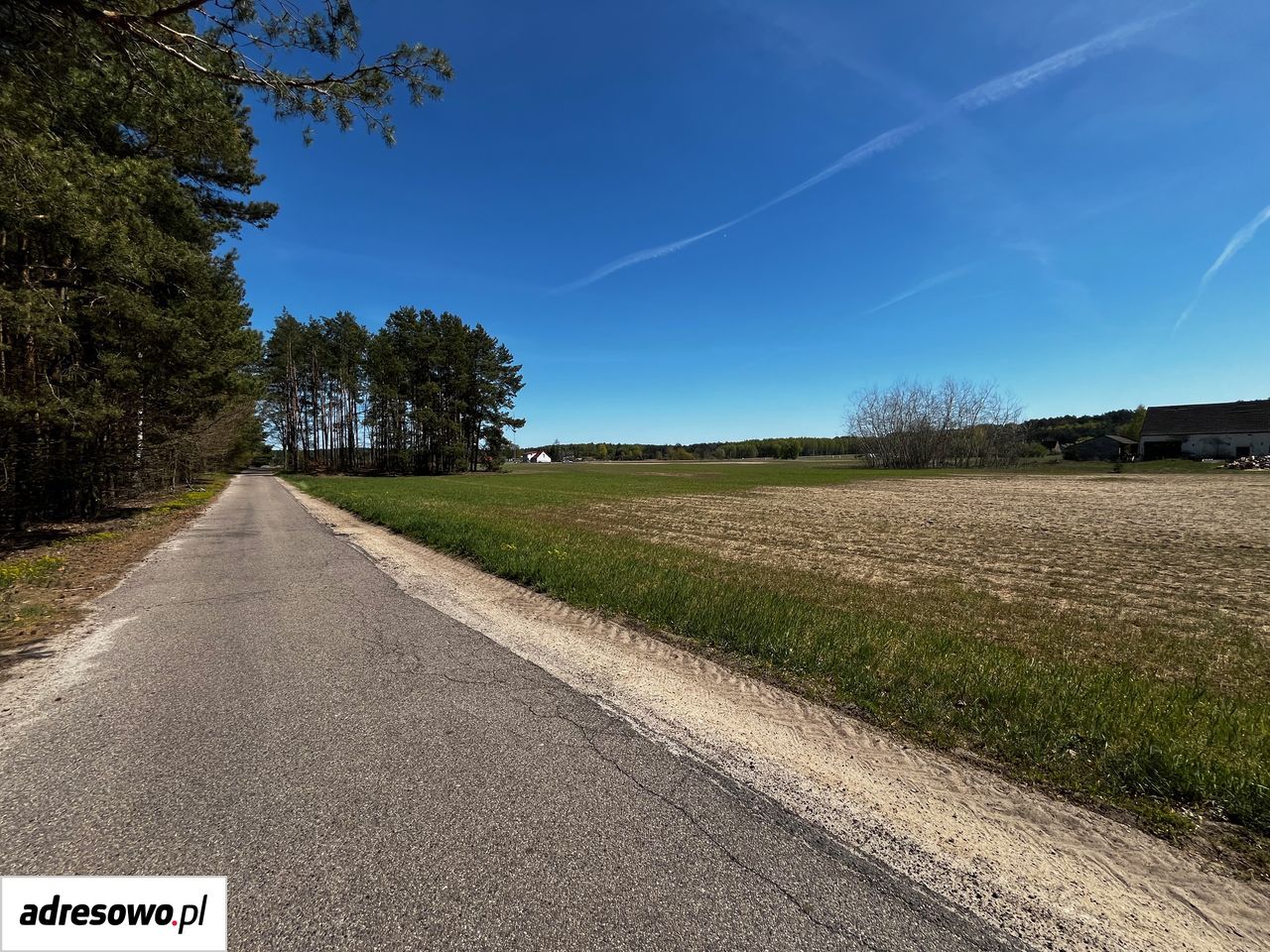 Działka rolno-budowlana Grotów. Zdjęcie 8