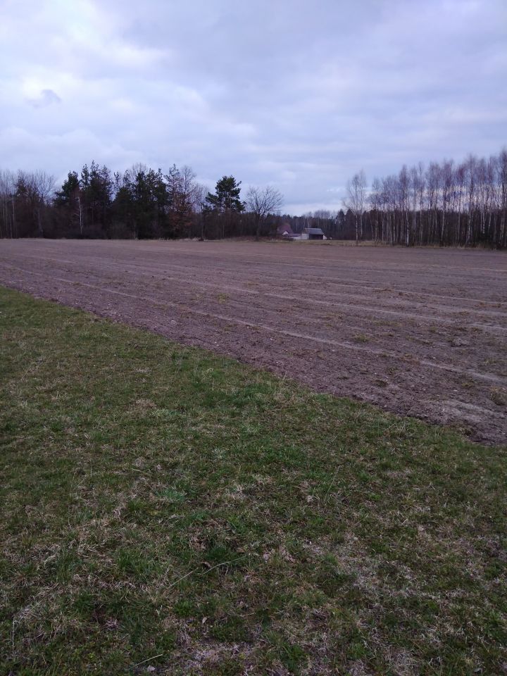 Działka rolno-budowlana Ludynia Dwór. Zdjęcie 5