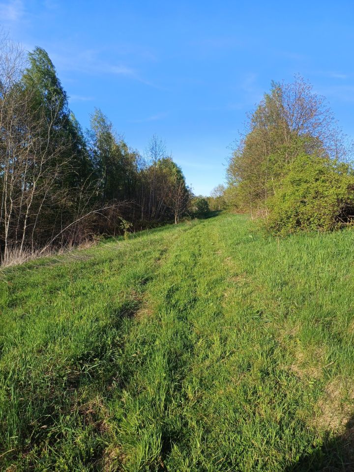 Działka rolno-budowlana Jaroszówka. Zdjęcie 4