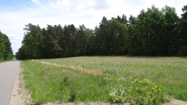 Działka rolno-budowlana Pasynki. Zdjęcie 1