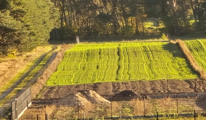 Działka rolno-budowlana Barkowice, Widok