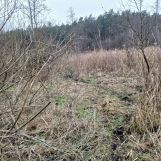 Działka rolna Łapinóż. Zdjęcie 1