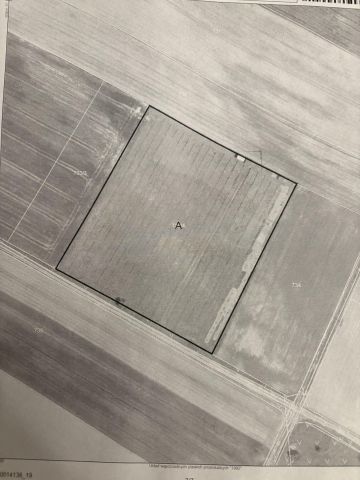 Działka rolna Biała Pierwsza, Biała Piersza. Zdjęcie 1