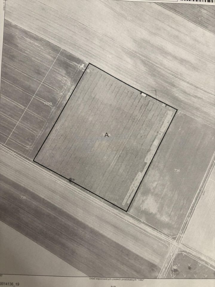 Działka rolna Biała Pierwsza, Biała Piersza. Zdjęcie 1