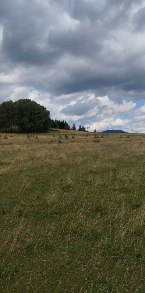 Działka budowlana Rabka-Zdrój Dzielce, ul. Kilińskiego. Zdjęcie 18
