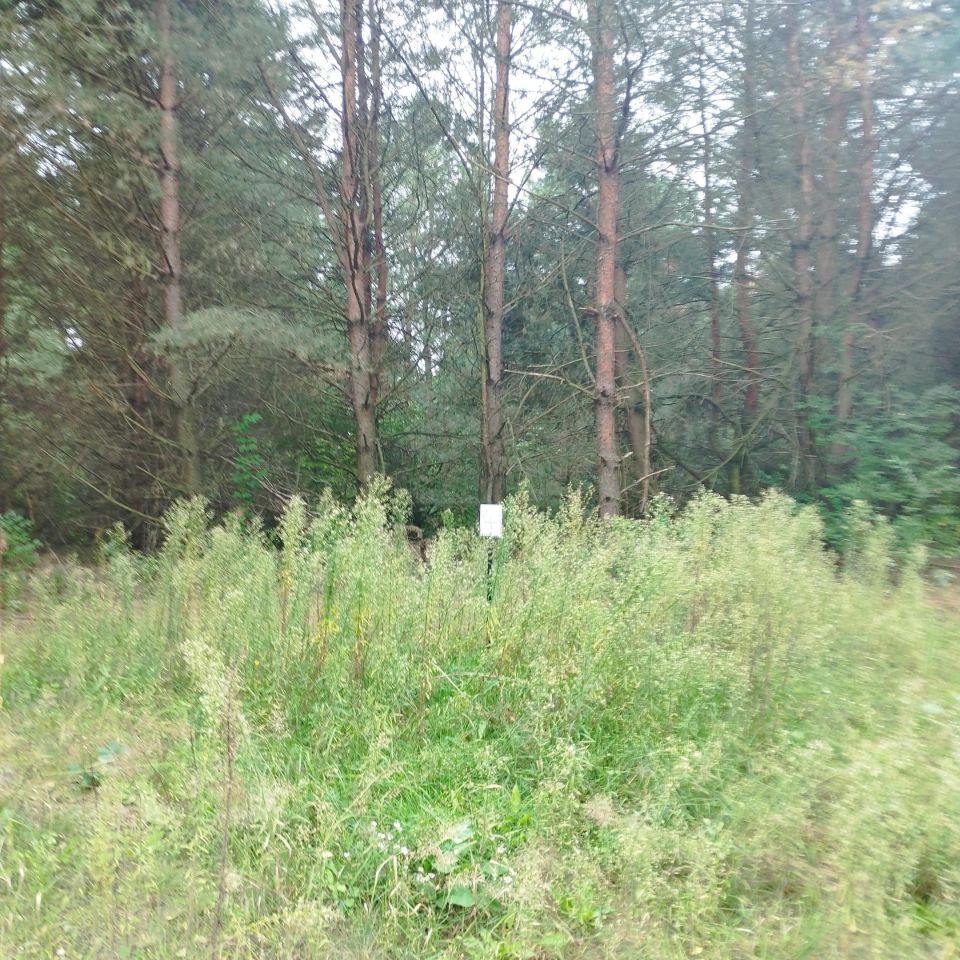 Działka budowlana Nagodów. Zdjęcie 2