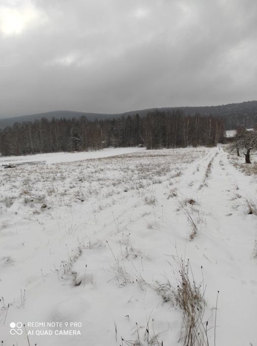 Działka rolno-budowlana Zagórze. Zdjęcie 3