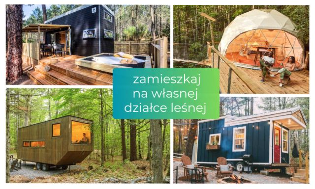 Działka leśna Żebrowo. Zdjęcie 1