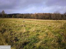 Działka budowlana Stronie Śląskie. Zdjęcie 2