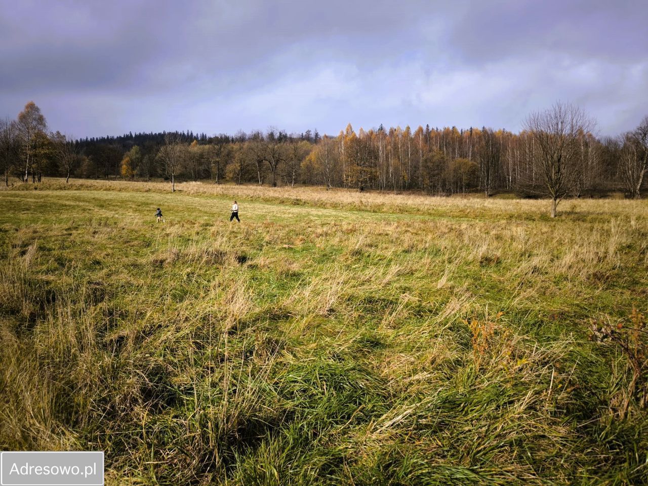 Działka budowlana Stronie Śląskie. Zdjęcie 3