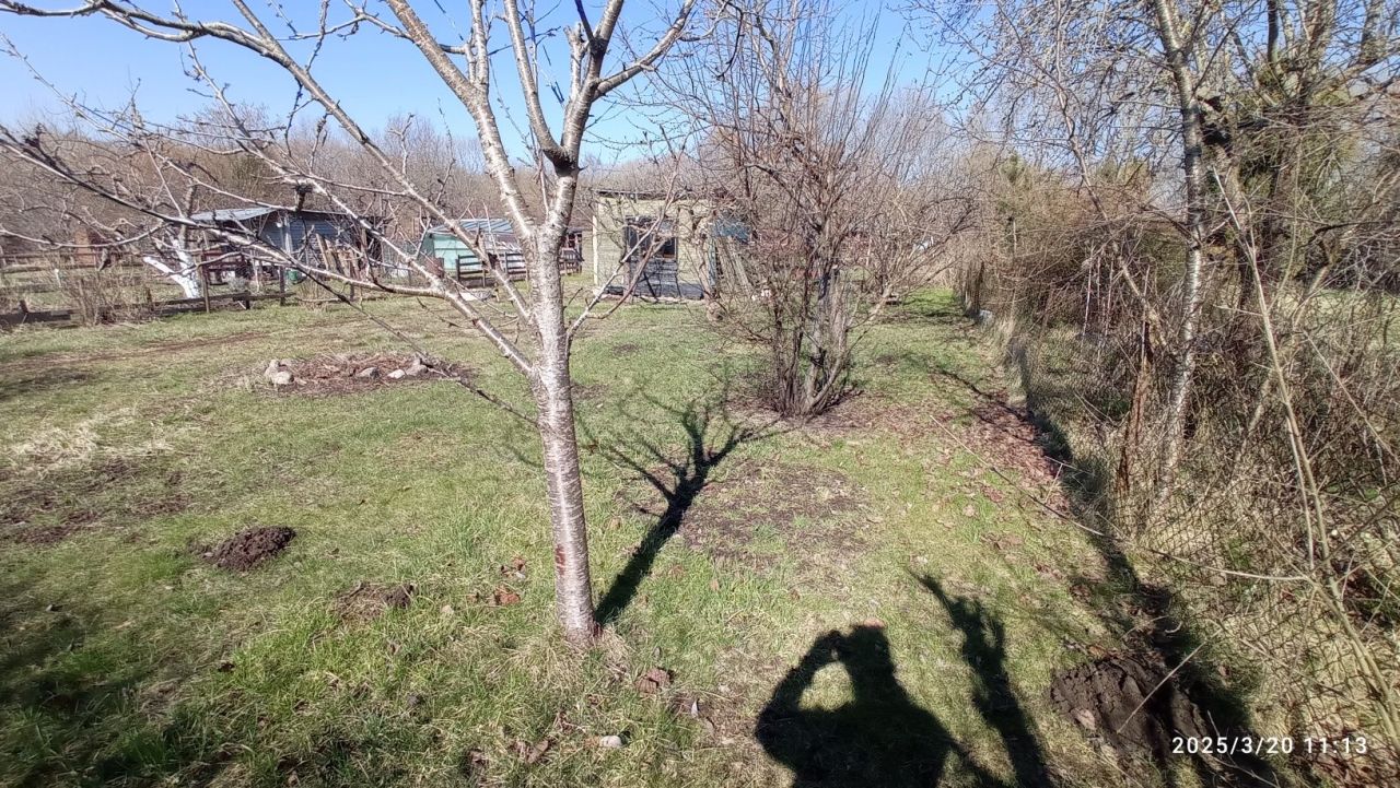 Działka rod Białogard, ul. Poetów. Zdjęcie 7