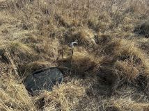 Działka budowlana Głodowo Wielkie. Zdjęcie 2