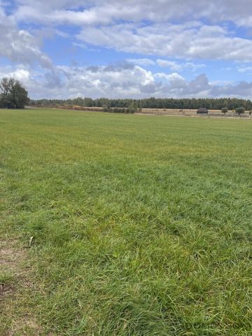 Działka budowlana Budy Ciepielińskie. Zdjęcie 2