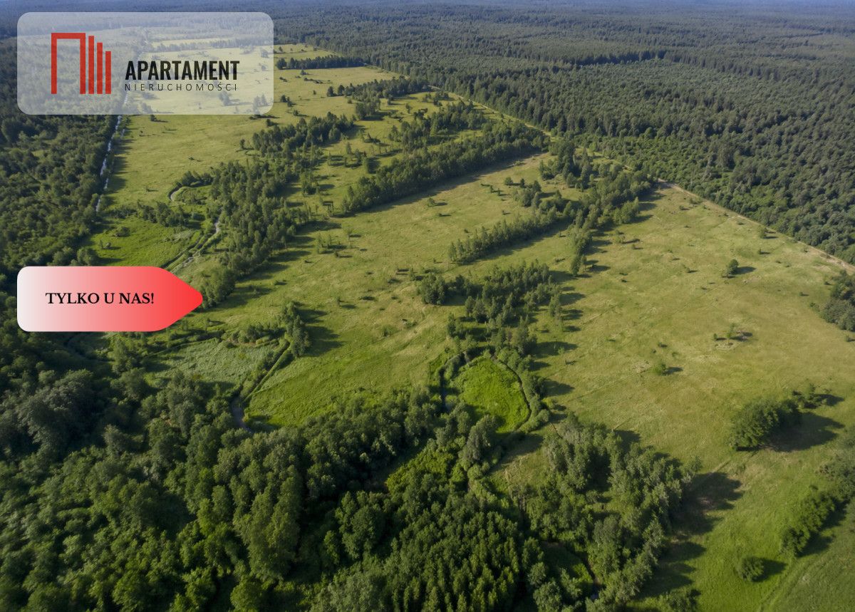 Działka rolna Żabno. Zdjęcie 5