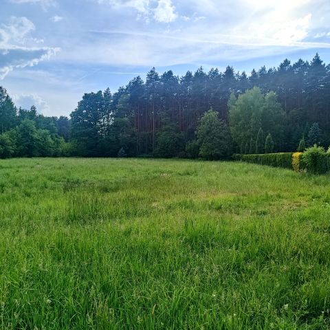 Działka rolna Pogorzyce Źrebce, ul. Poziomkowa. Zdjęcie 1