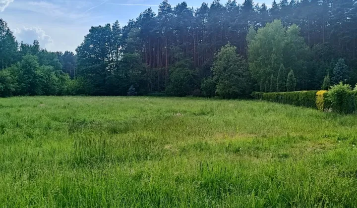 Działka rolna Pogorzyce Źrebce, ul. Poziomkowa