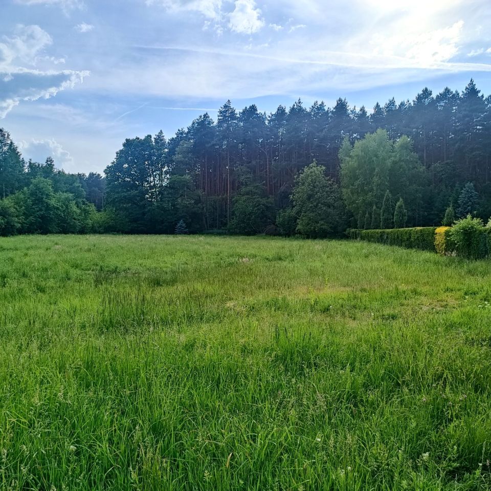 Działka rolna Pogorzyce Źrebce, ul. Poziomkowa