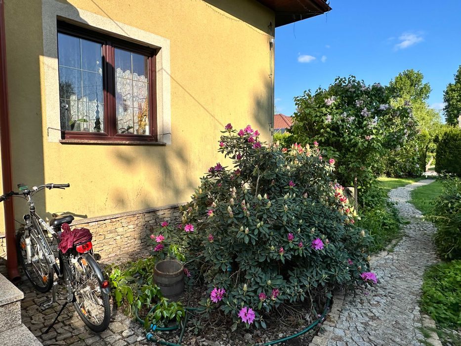 siedlisko, 5 pokoi Strzegom. Zdjęcie 4