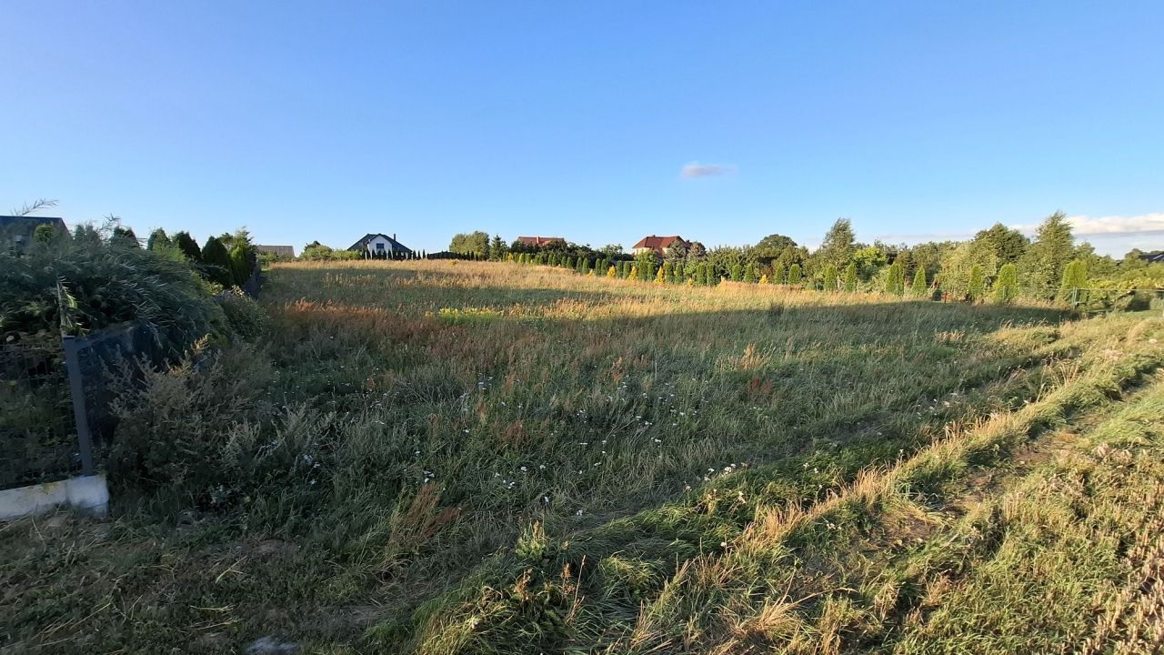 Działka budowlana Świedziebnia. Zdjęcie 6