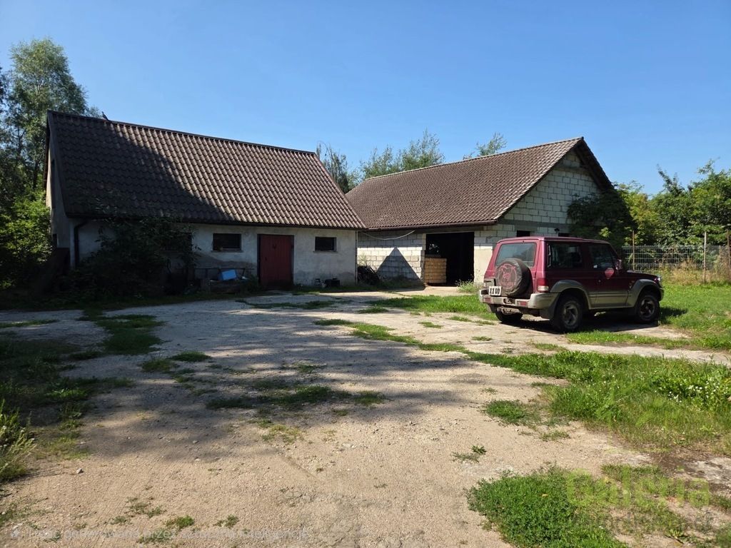 Zdjęcie 3