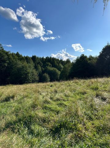 Działka rolna Kocoń. Zdjęcie 1